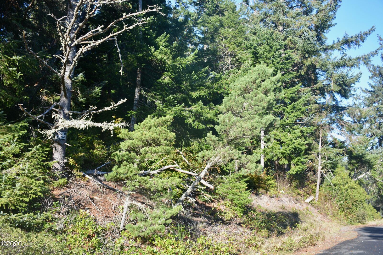 Property Photo: 2506 NW Mokmak Lake Drive OR 97394