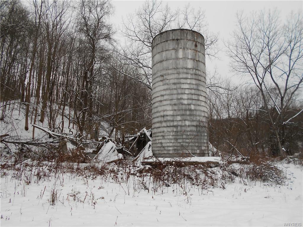 Property Photo:  0 US Route 219  NY 14171 