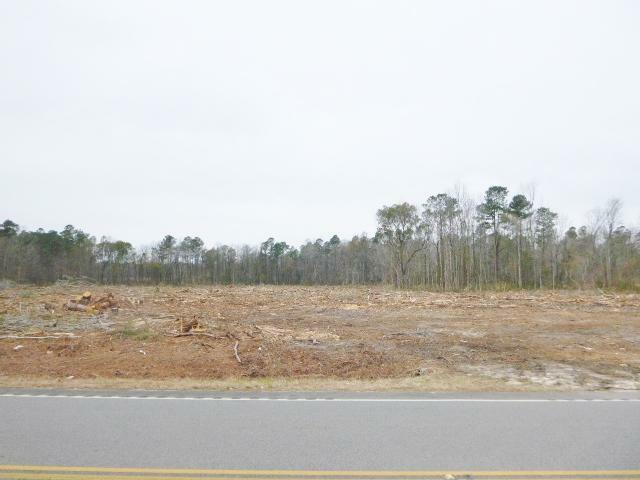 Property Photo:  Tract 3-B Old Gilliard Road  SC 29472 