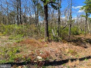 Property Photo:  0 Goldwood Trail  VA 22602 