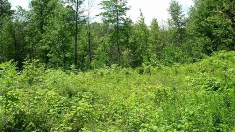 Property Photo: 9911 Hill Street MI 49332