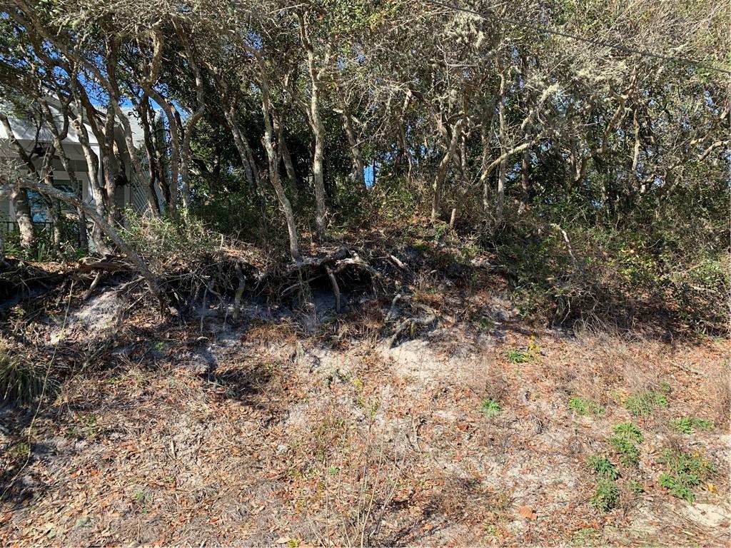 Property Photo:  Lot 4 1st Avenue  FL 32034 