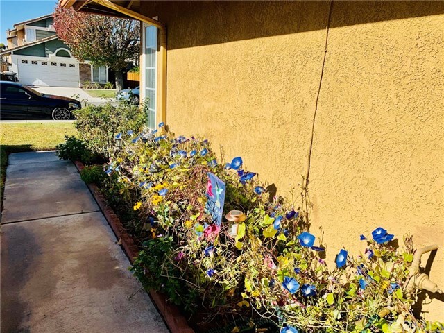 Property Photo: 1144 Lugo Lane CA 92324