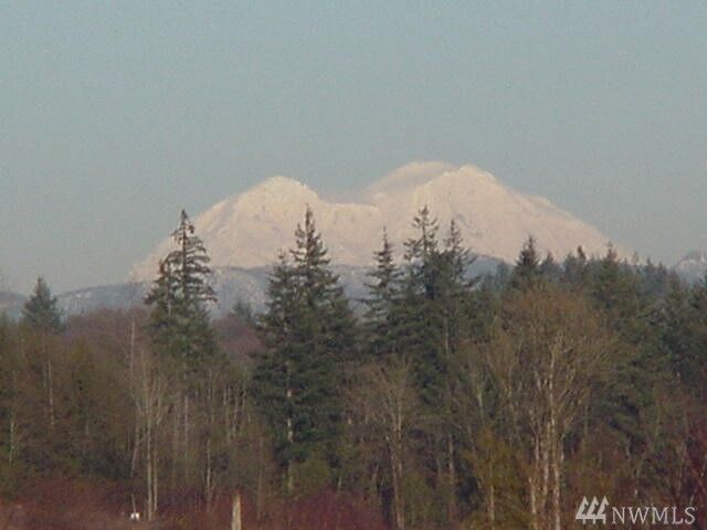 Property Photo:  128 Volcano Lane  WA 98565 
