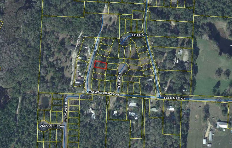 Property Photo:  Lot 32 Caswell Branch Road  FL 32439 