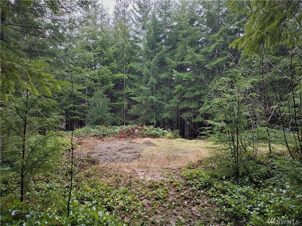 Property Photo:  70 Arrowhead Lane  WA 98541 