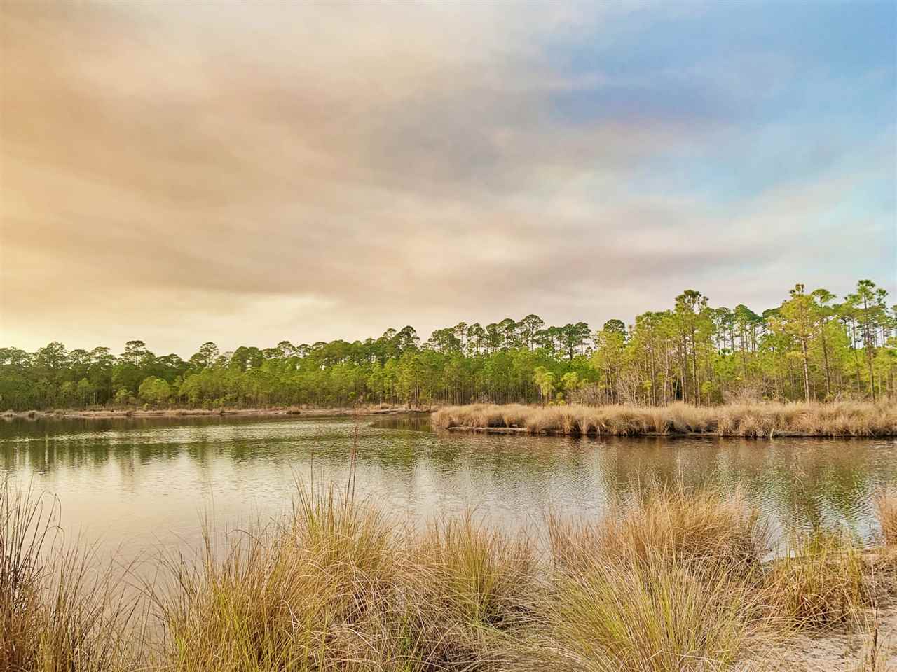 Property Photo:  Lot 33 Turtle Creek Lane  FL 32346 