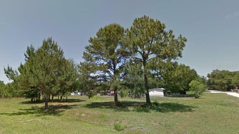 Property Photo:  Sandlewood Avenue Lot 20  FL 34604 