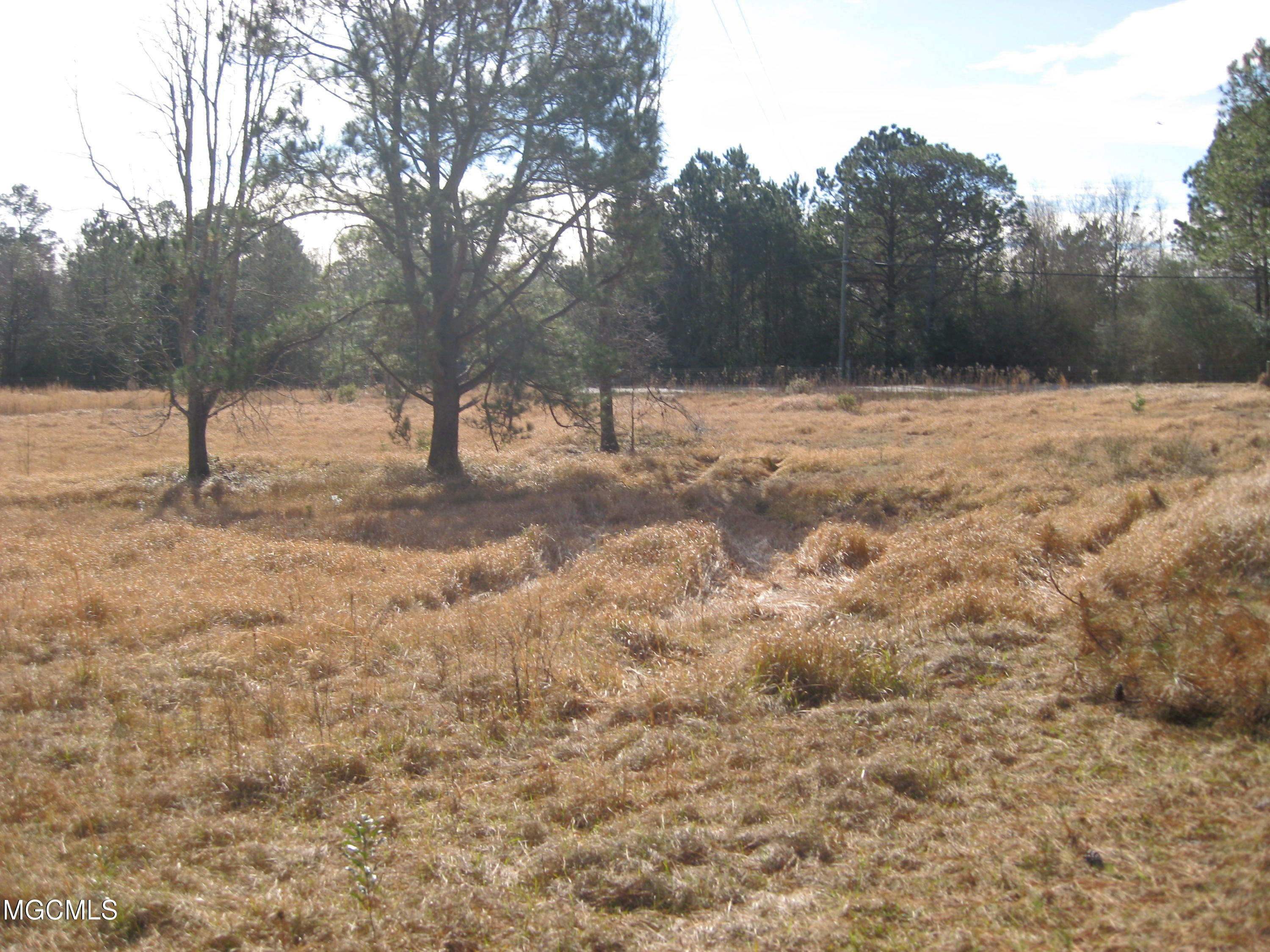 Property Photo:  27144 Lake Cypress Drive  MS 39573 