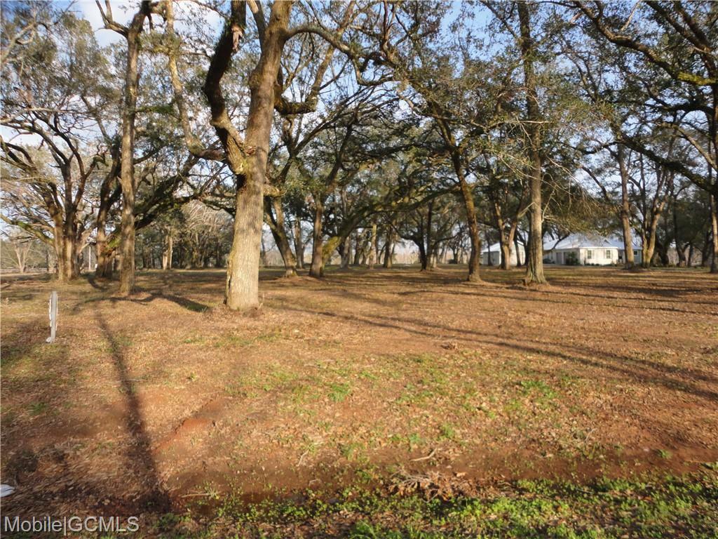 Mandrell Lane 6  Fairhope AL 36532 photo