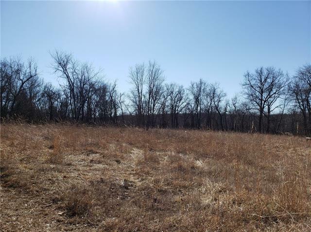 Property Photo:  33+/- County Road 153 N/A  MO 65779 