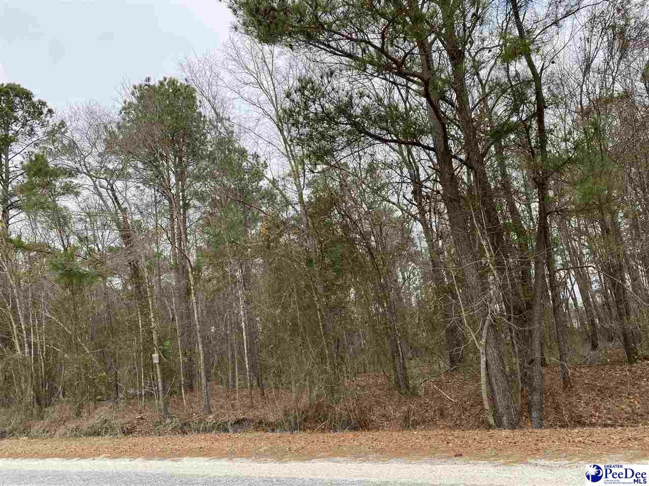 Property Photo:  Lot 45 Club Drive  SC 29069 