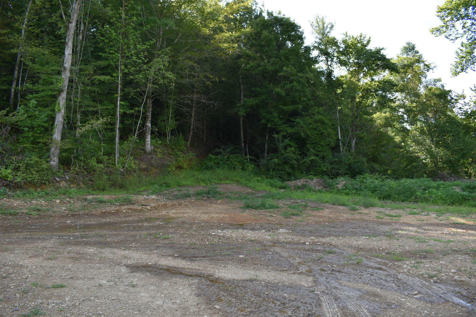 Property Photo:  Mountain View Rd  TN 37852 