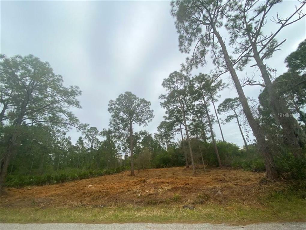 Property Photo: 23359 McManaway Avenue FL 33980