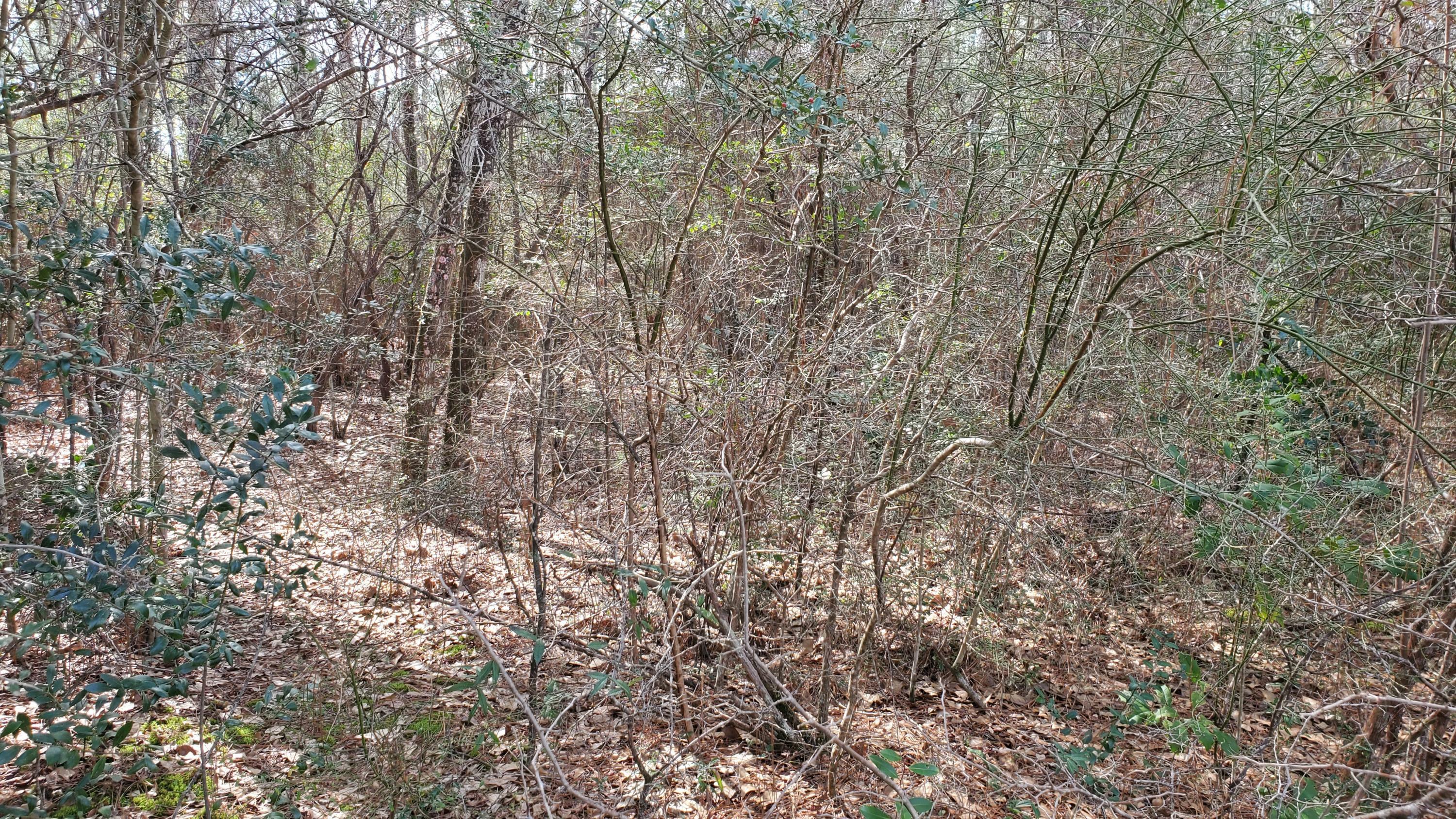 Property Photo:  173 Seneca Trail  FL 32536 