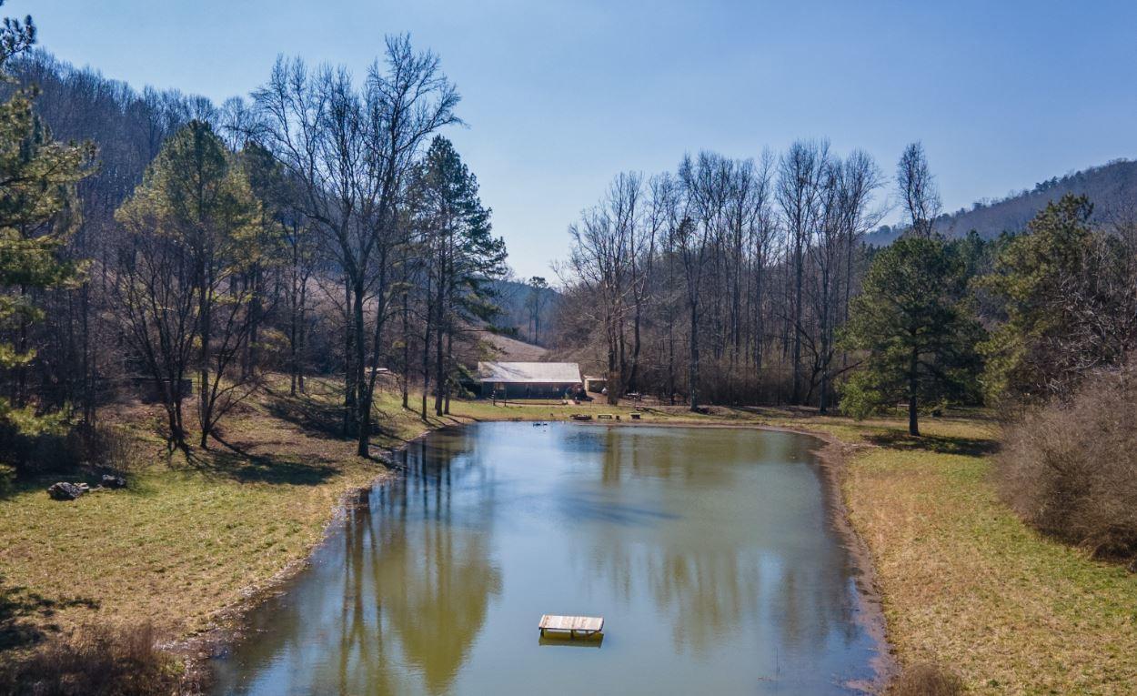 Property Photo:  959 Co Rd 223  AL 35961 