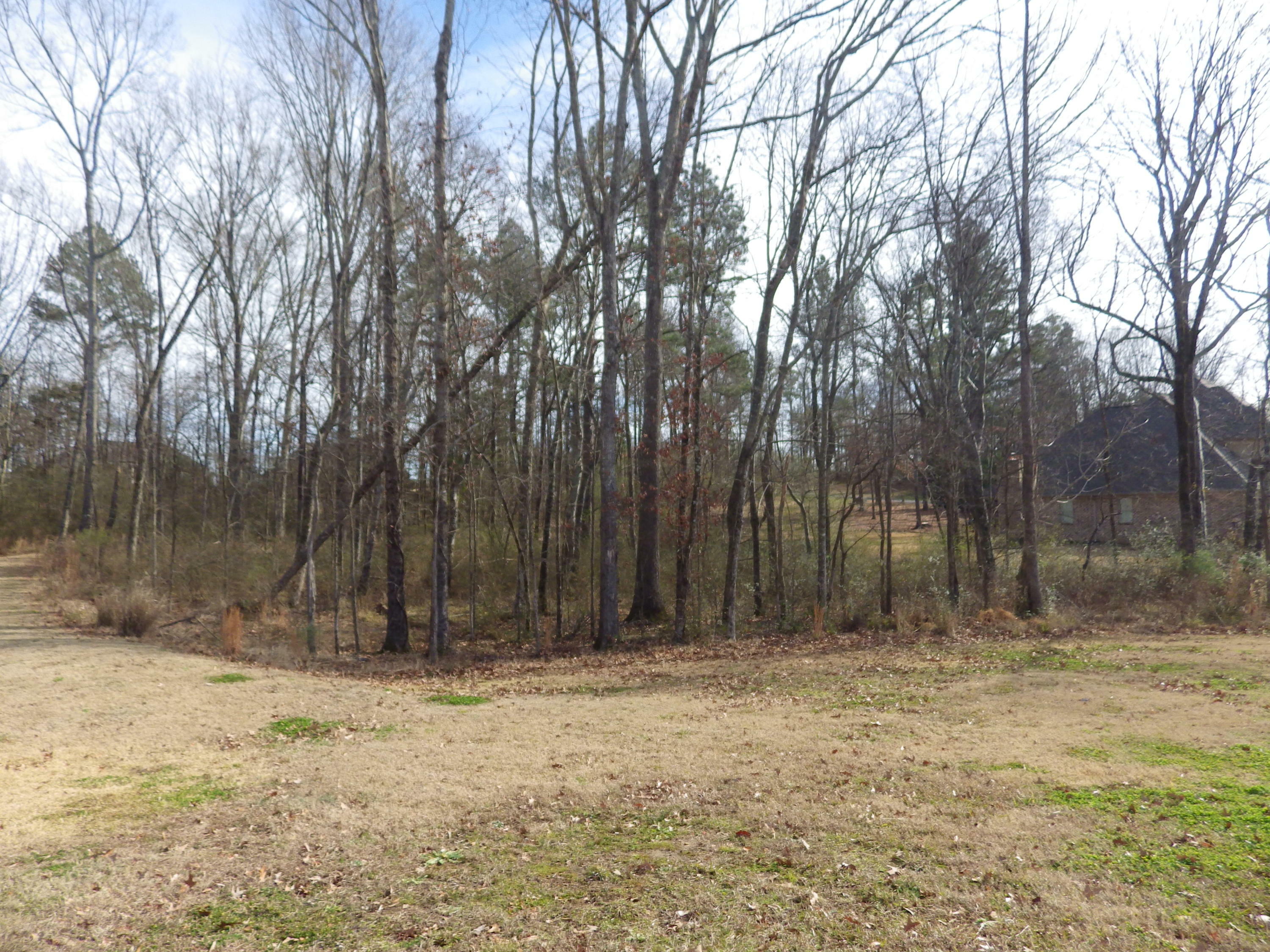 Lot 318 Day Lily Drive  Starkville MS 39759 photo