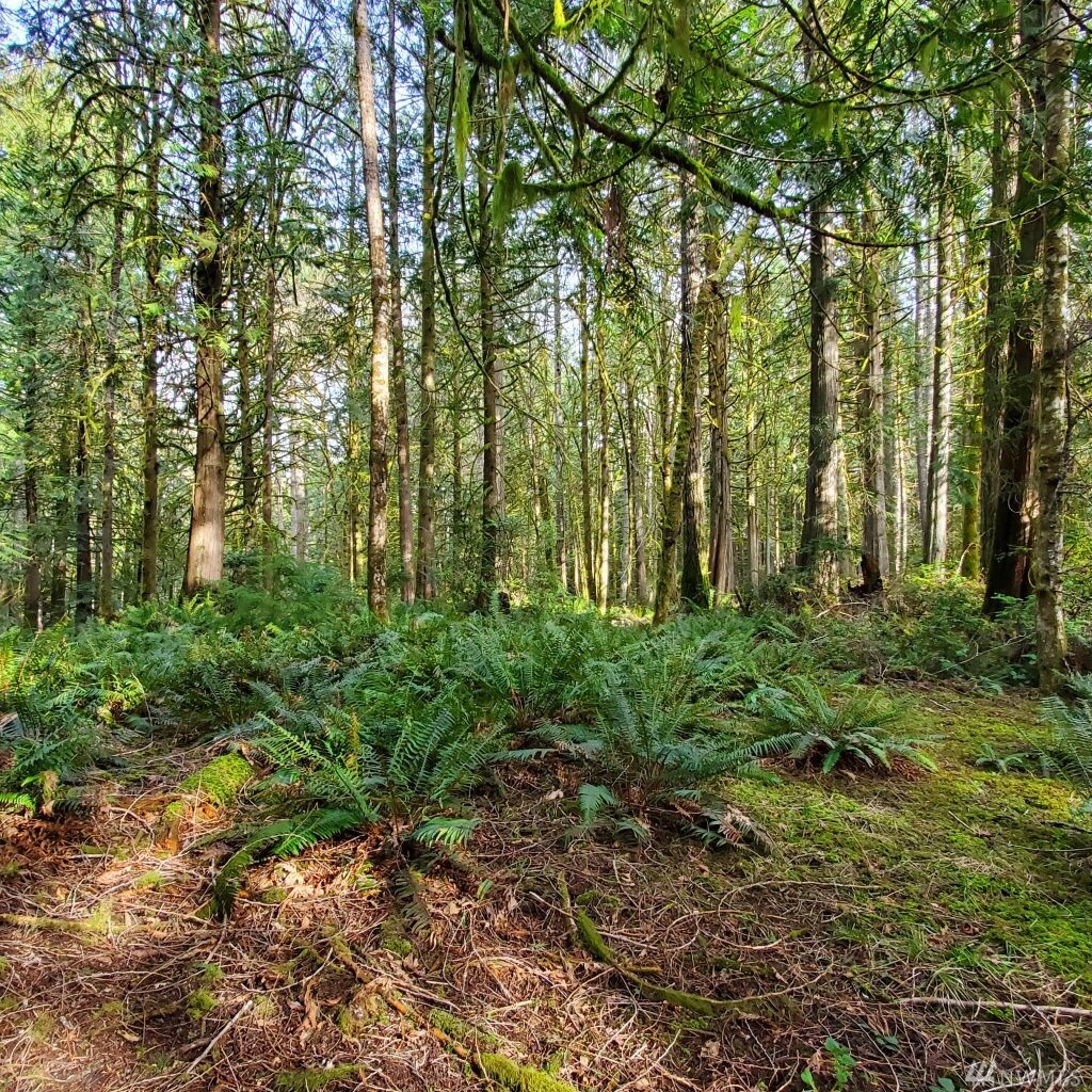 Property Photo:  162 E Nantucket Rd  WA 98584 
