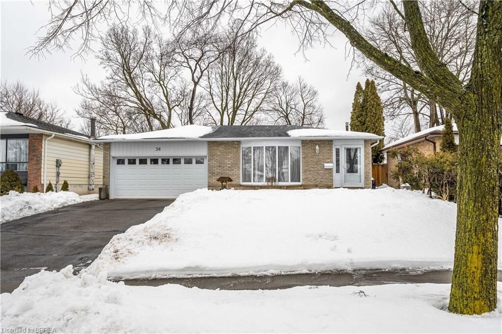 Photo de la propriété:  36 Hillcrest Avenue  ON N3T 5X8 