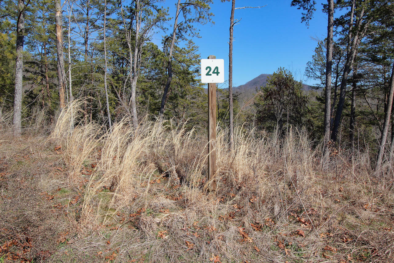 Property Photo:  Lot 24 Mountain Ash Way  TN 37876 