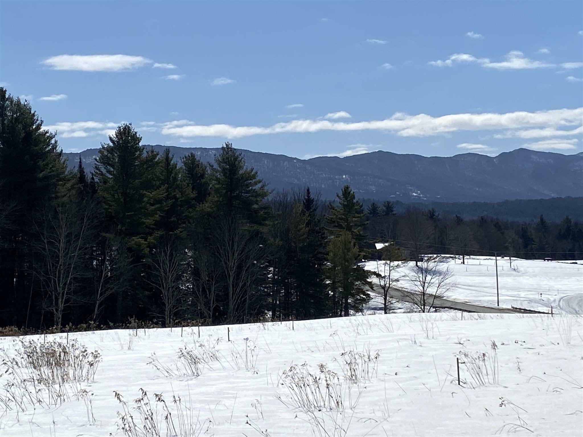 Property Photo: 0 Lower Elmore Mountain Road Lot 2 VT 05661