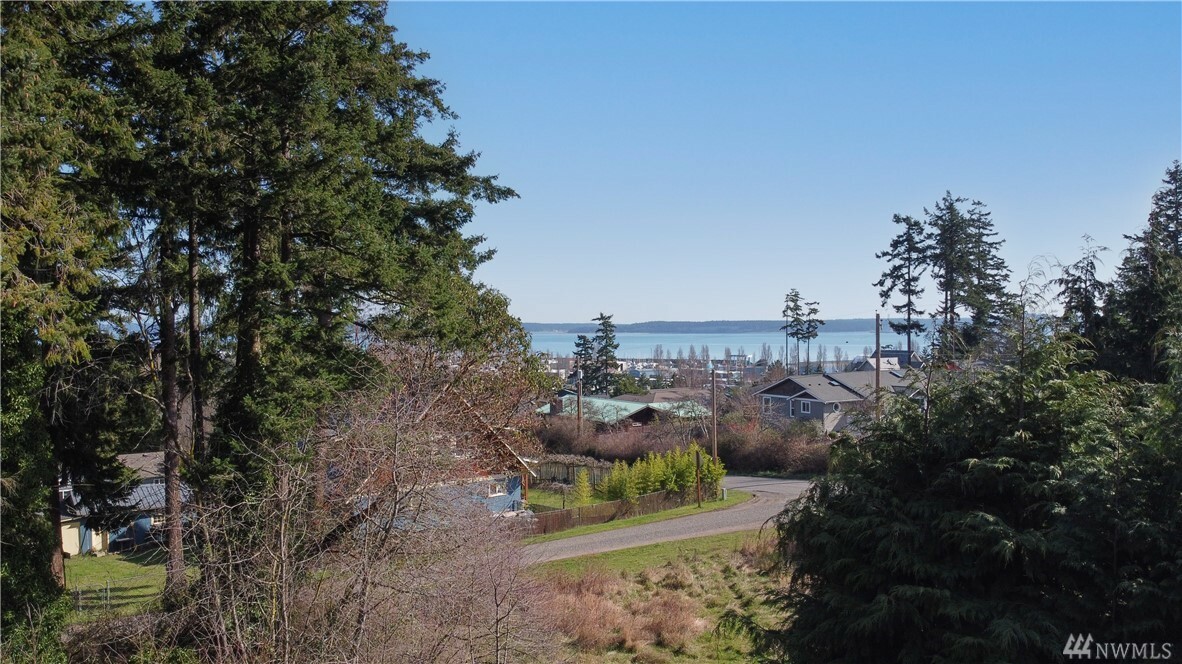 Property Photo: 0 Gise St WA 98368