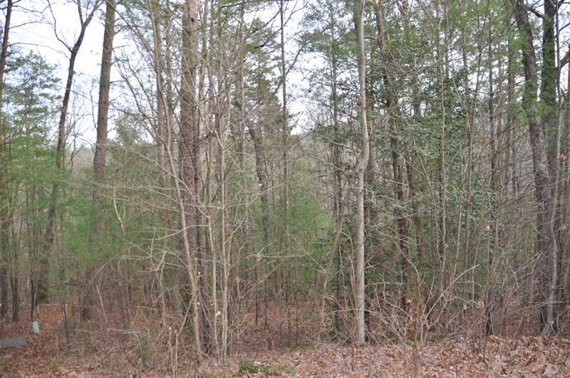 Property Photo:  5554 Black Bear Trail  GA 30143 