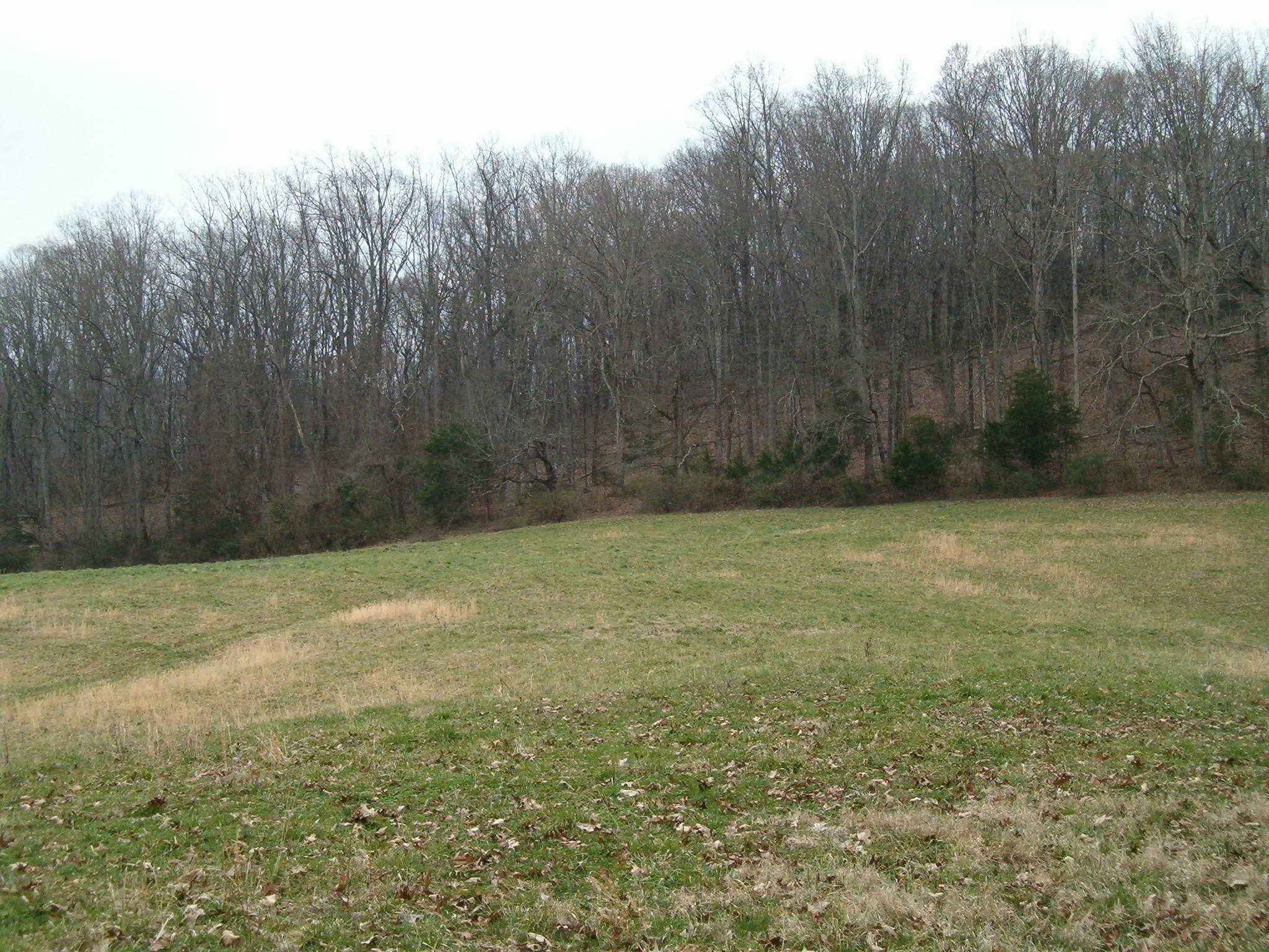 Property Photo:  E Dumplin Valley Rd  TN 37760 