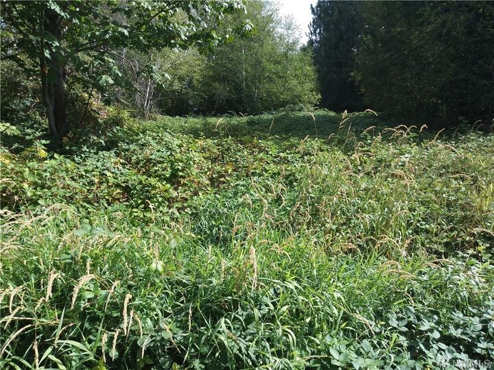 Property Photo: 81 E Soundview Dr WA 98584