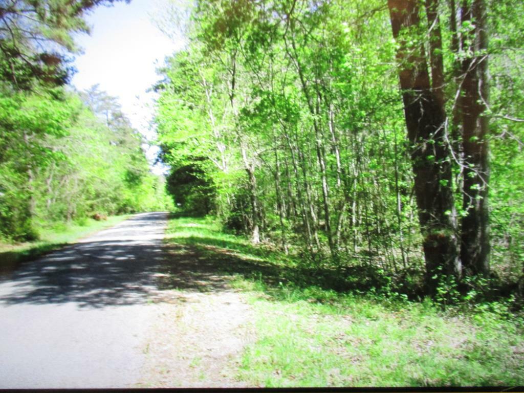 Property Photo:  133 Old School Road  VA 23927 