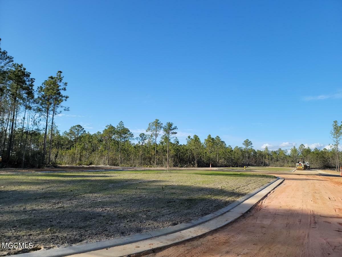 10962 Grace Cove Lot 48  Gulfport MS 39503 photo