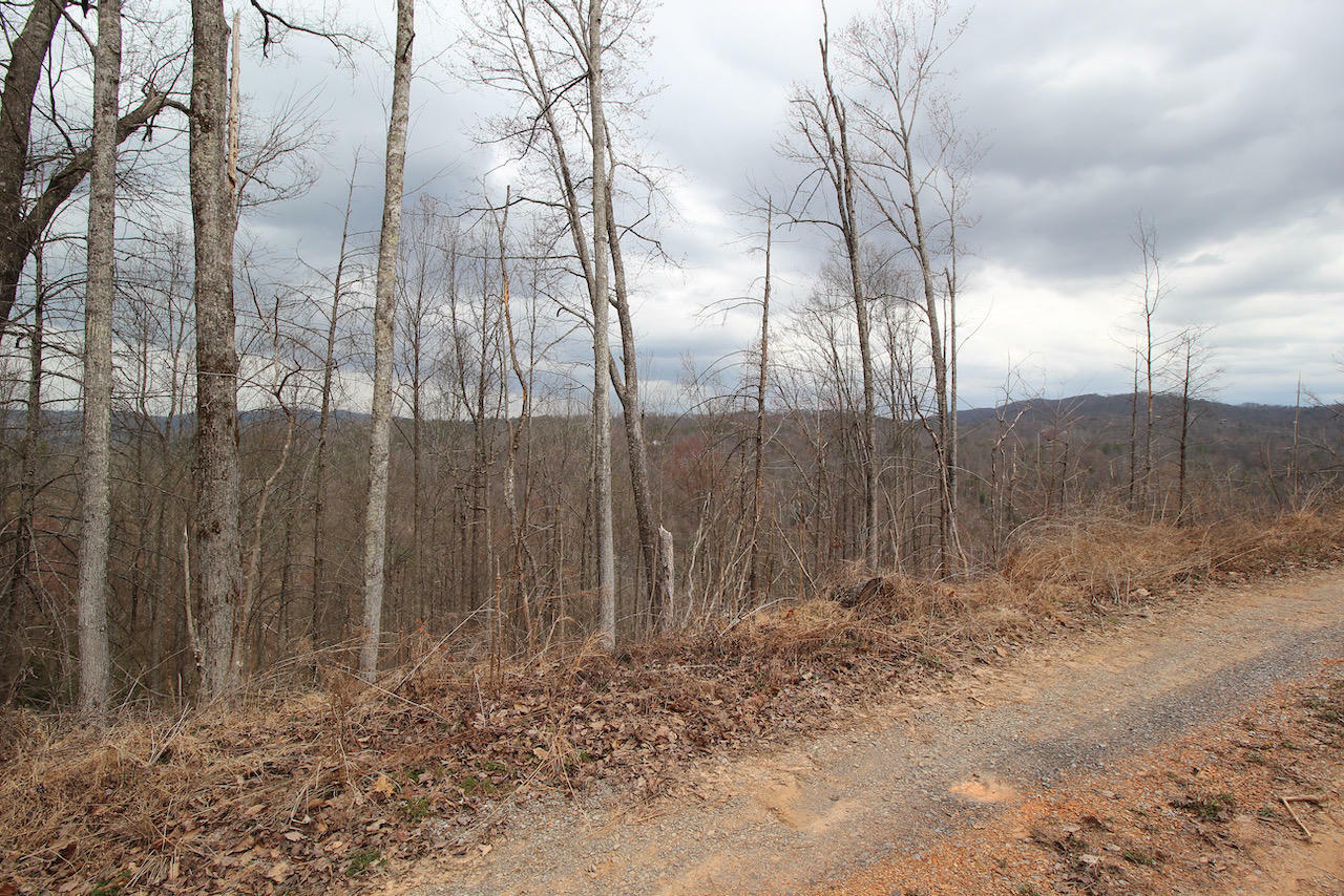 Property Photo:  Lot 17-C Laurel Way  TN 37738 