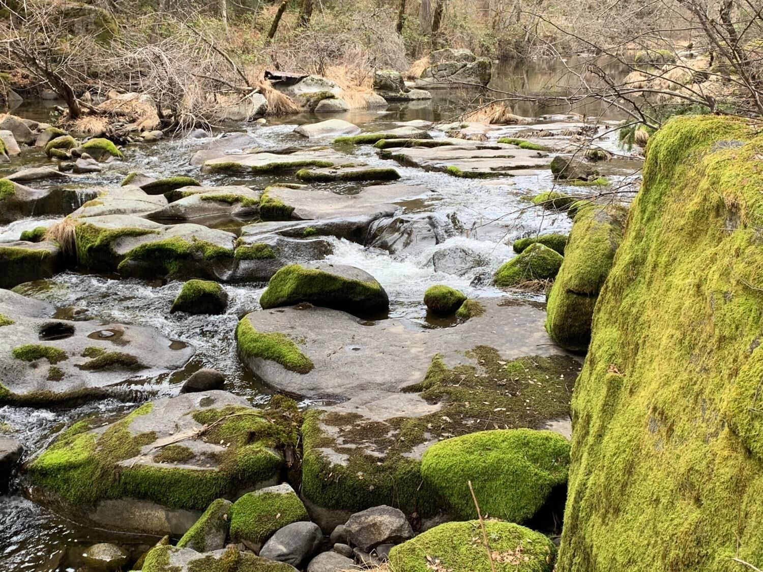 Property Photo: 79 Acres Sweeney Road CA 95684