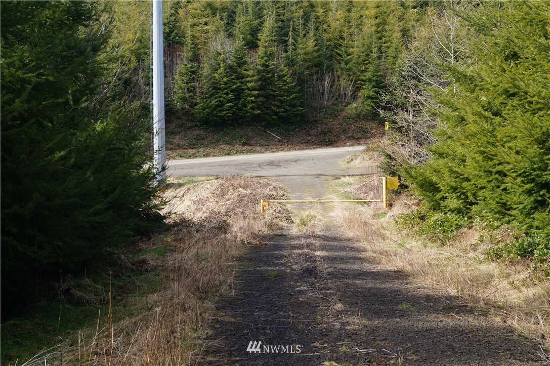 Property Photo:  0 M.p. 62 State Route 101  WA 98577 