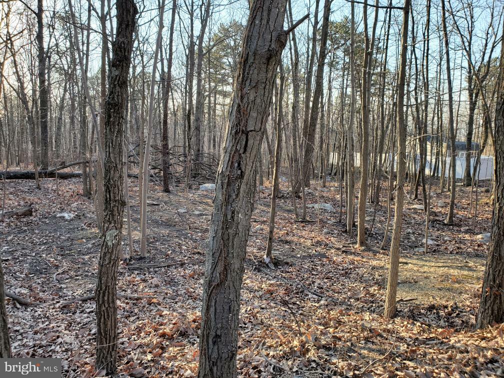 Property Photo:  Lot 21 &Amp 22 Pheasant  VA 22603 