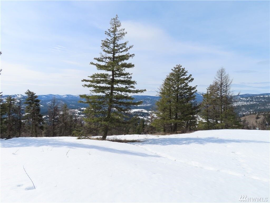 Property Photo:  Lot 39 Union Ridge Rd  WA 99166 