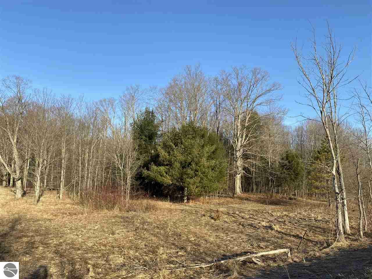 Property Photo:  0 Valley Road  MI 49640 
