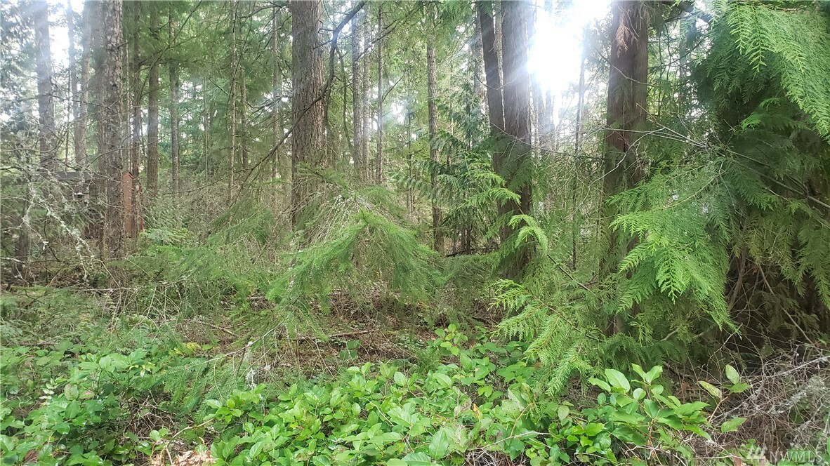 Property Photo: 18124 Rampart Dr SE WA 98597