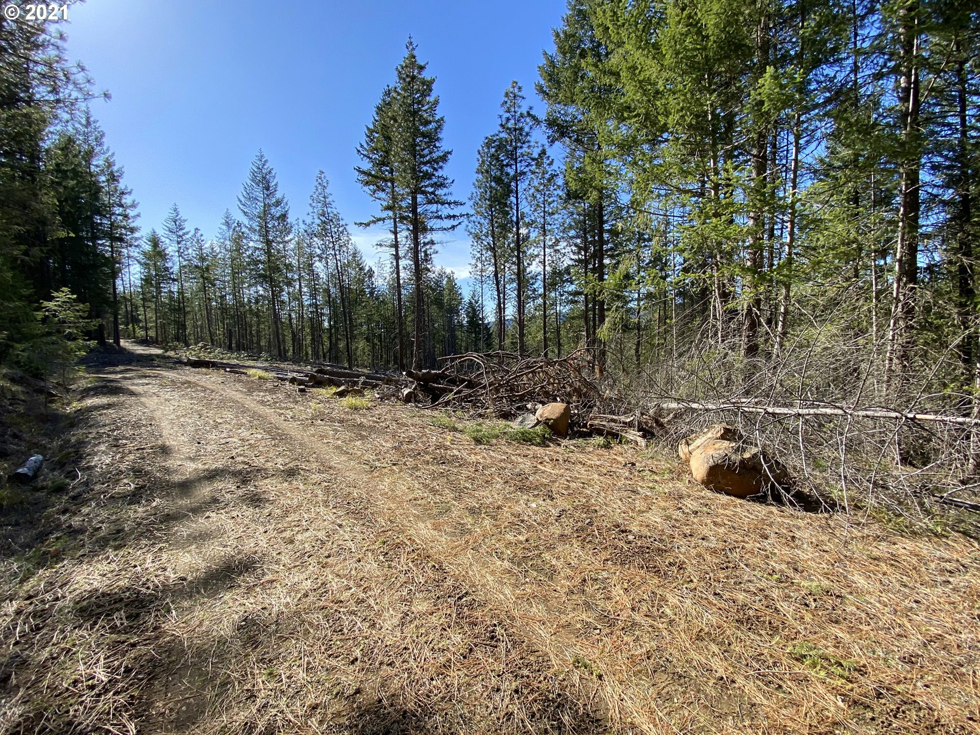 Property Photo:  Off Box Canyon Rd A-2  WA 98620 