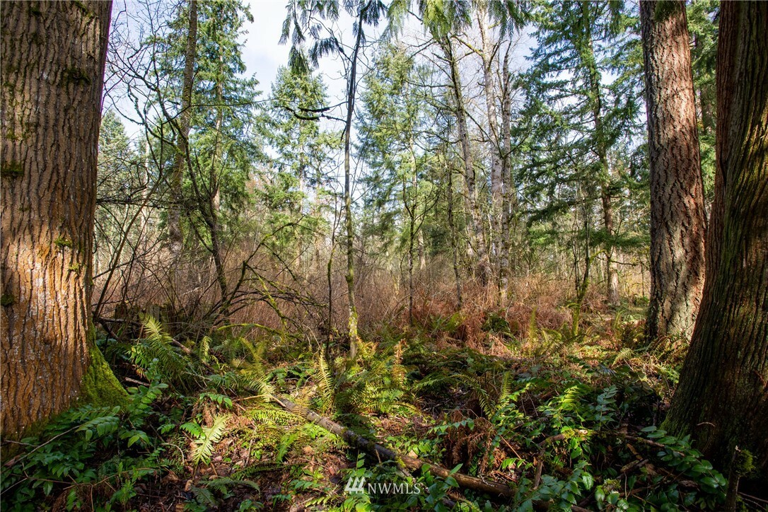 Property Photo:  13115 168th Street E  WA 98374 