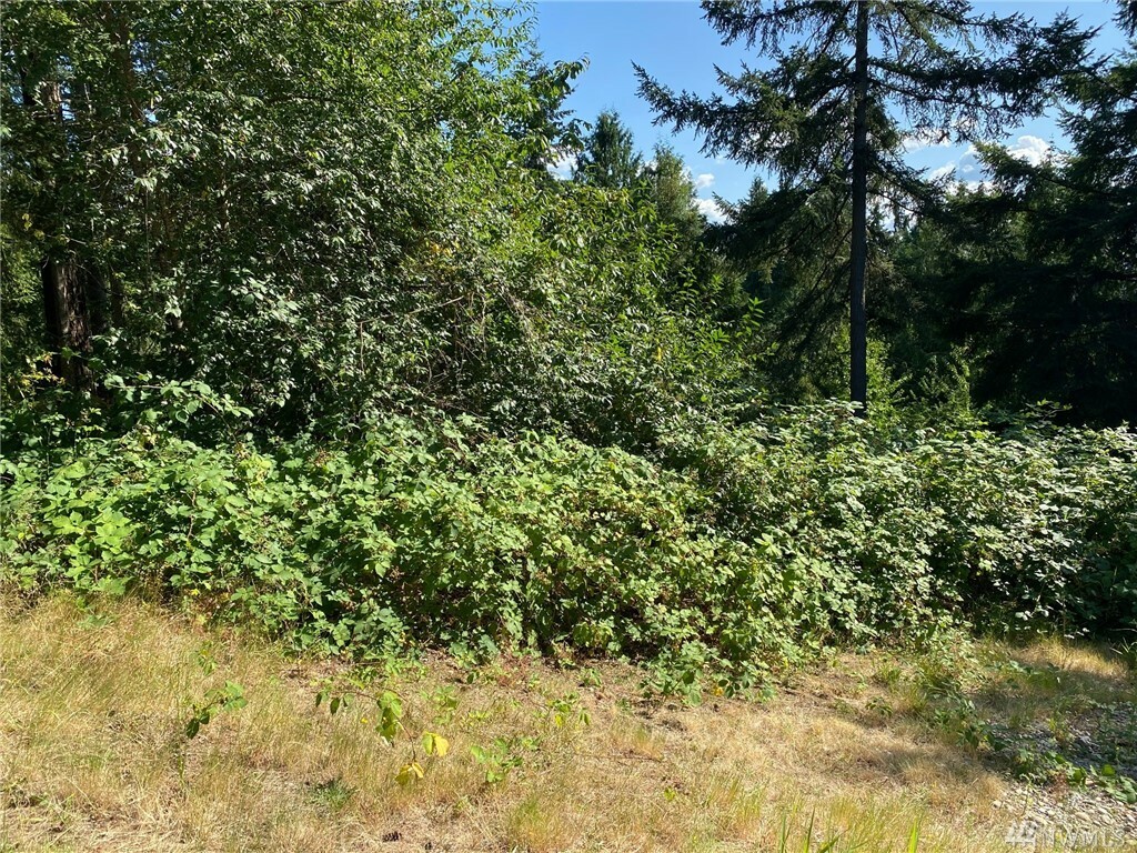 Property Photo:  901 207th Place NE  WA 98074 