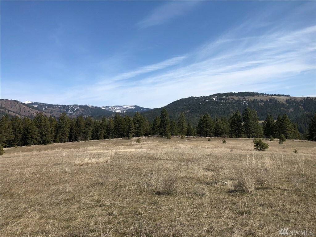 Property Photo:  Xxx Mountain Creek Dr  WA 98922 