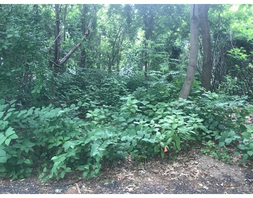 Property Photo: 0 Gresham St. Lot16 MA 01101