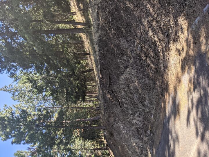 Ponderosa Dr Block 5 Lot 12  Klamath Falls OR 97601 photo