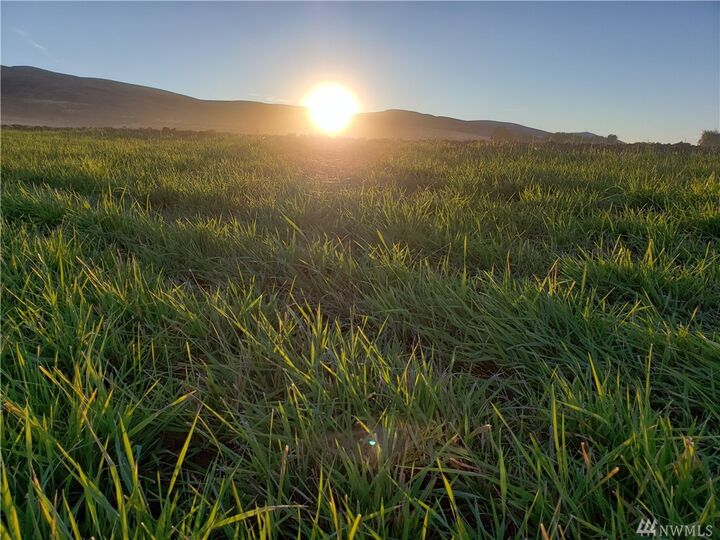 661 Xx Borland Rd  Ellensburg WA 98926 photo