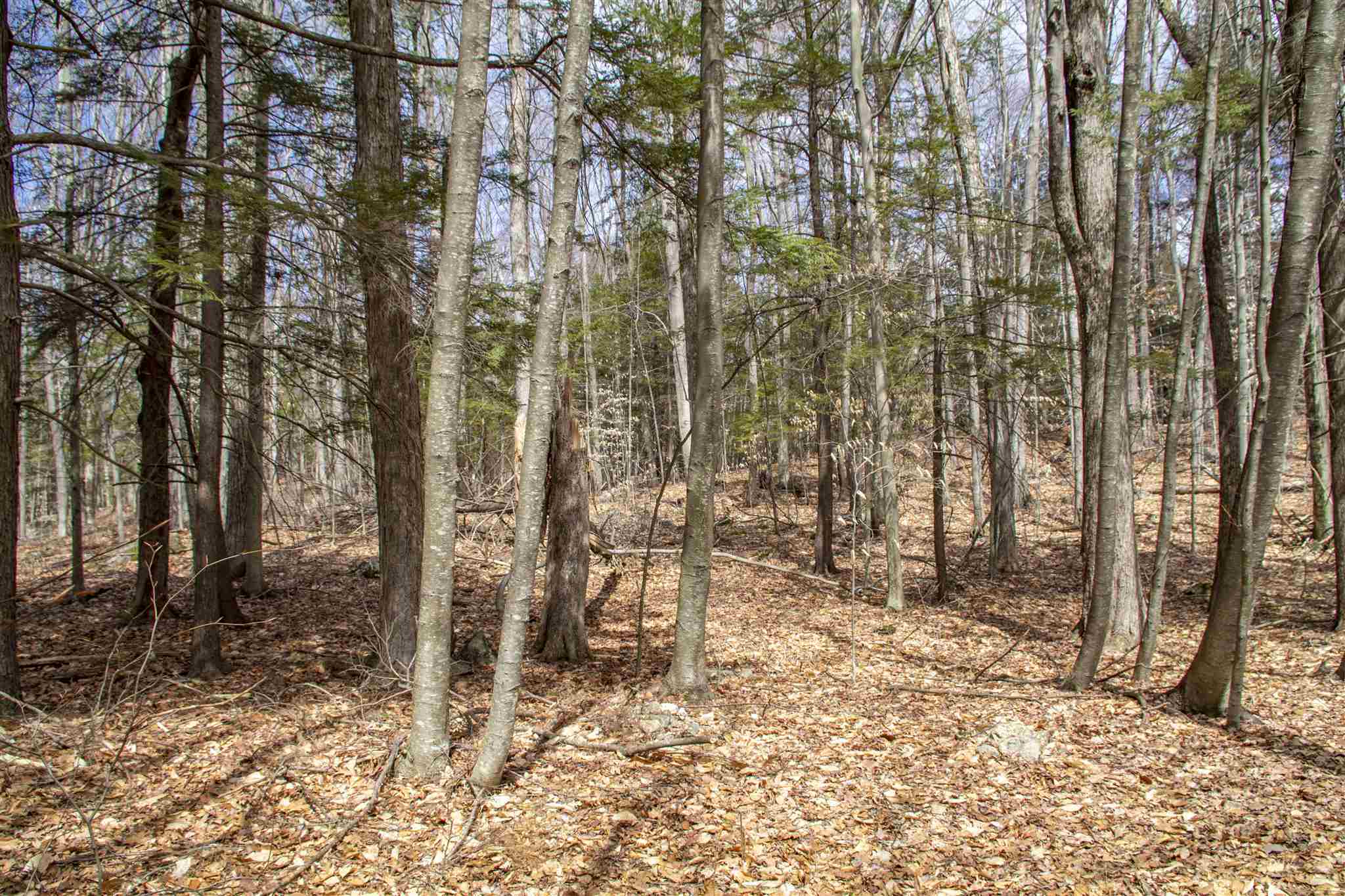 Property Photo:  33 Old Candia Road  NH 03037 