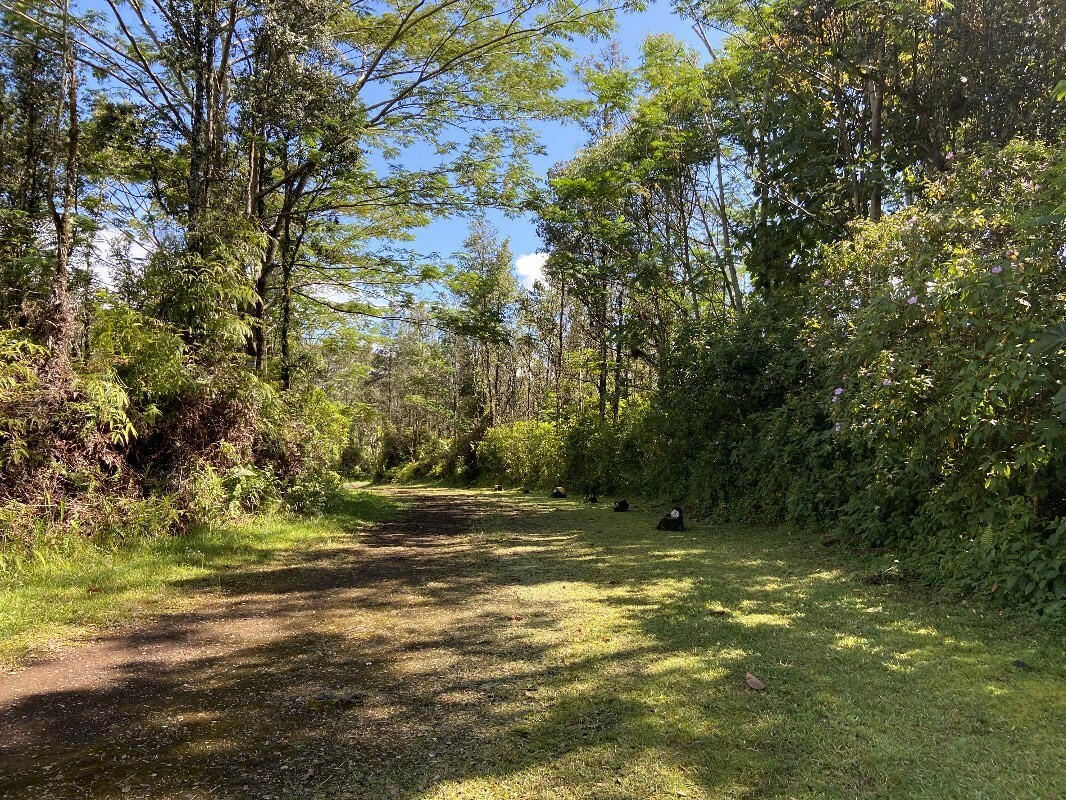 Property Photo:  Tutu Rd  HI 96778 
