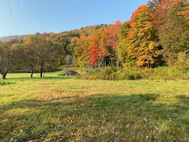 Property Photo:  64 Beech Hill Road  VT 05672 