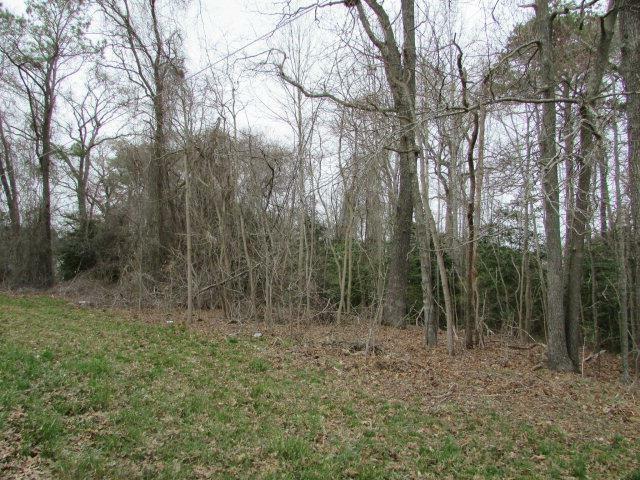 Lot 13 Wallops Millpond Rd  New Church VA 23415 photo