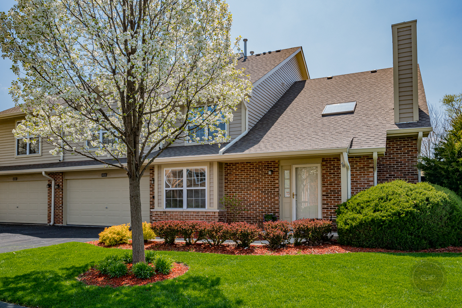 Property Photo:  8018 Barrymore Drive  IL 60561 